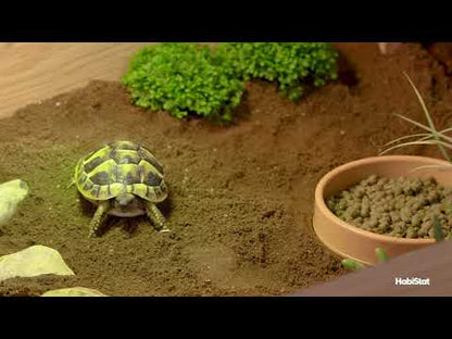 Habistat Tortoise Starter Kit
