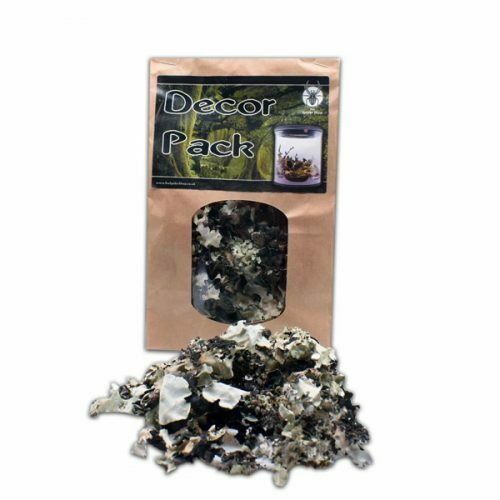 Décor Pack LICHEN MOSS