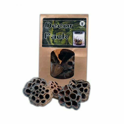 Décor Pack LOTUS PODS